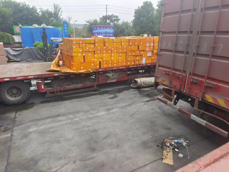 蘇州到江陵物流公司